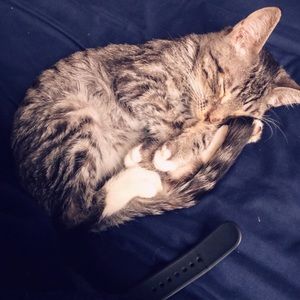 Meet your Posher, Byron